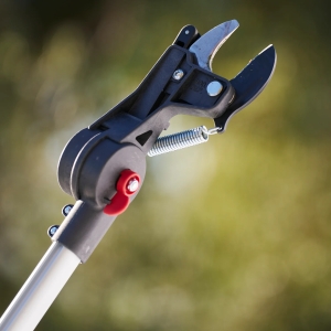 http://www.mowerpower.com.au/1256-thickbox/felco-290-4m-loppers.jpg