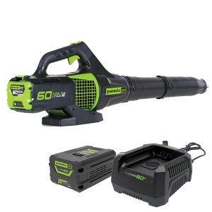 http://www.mowerpower.com.au/1465-thickbox/greenworks-60v-pro-brushless-axial-blower-kit.jpg