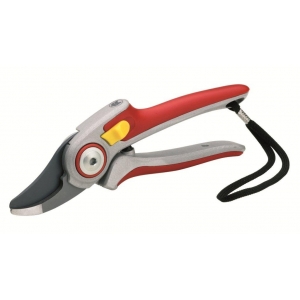 http://www.mowerpower.com.au/325-thickbox/wolf-rr5000-secateurs.jpg